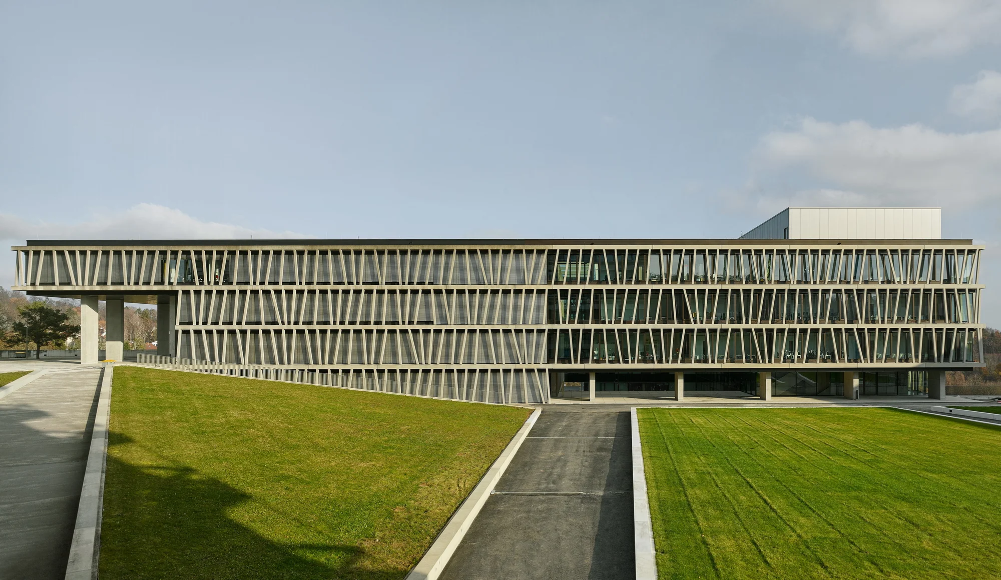 IFIB Interfakultäres Institut für Biochemie