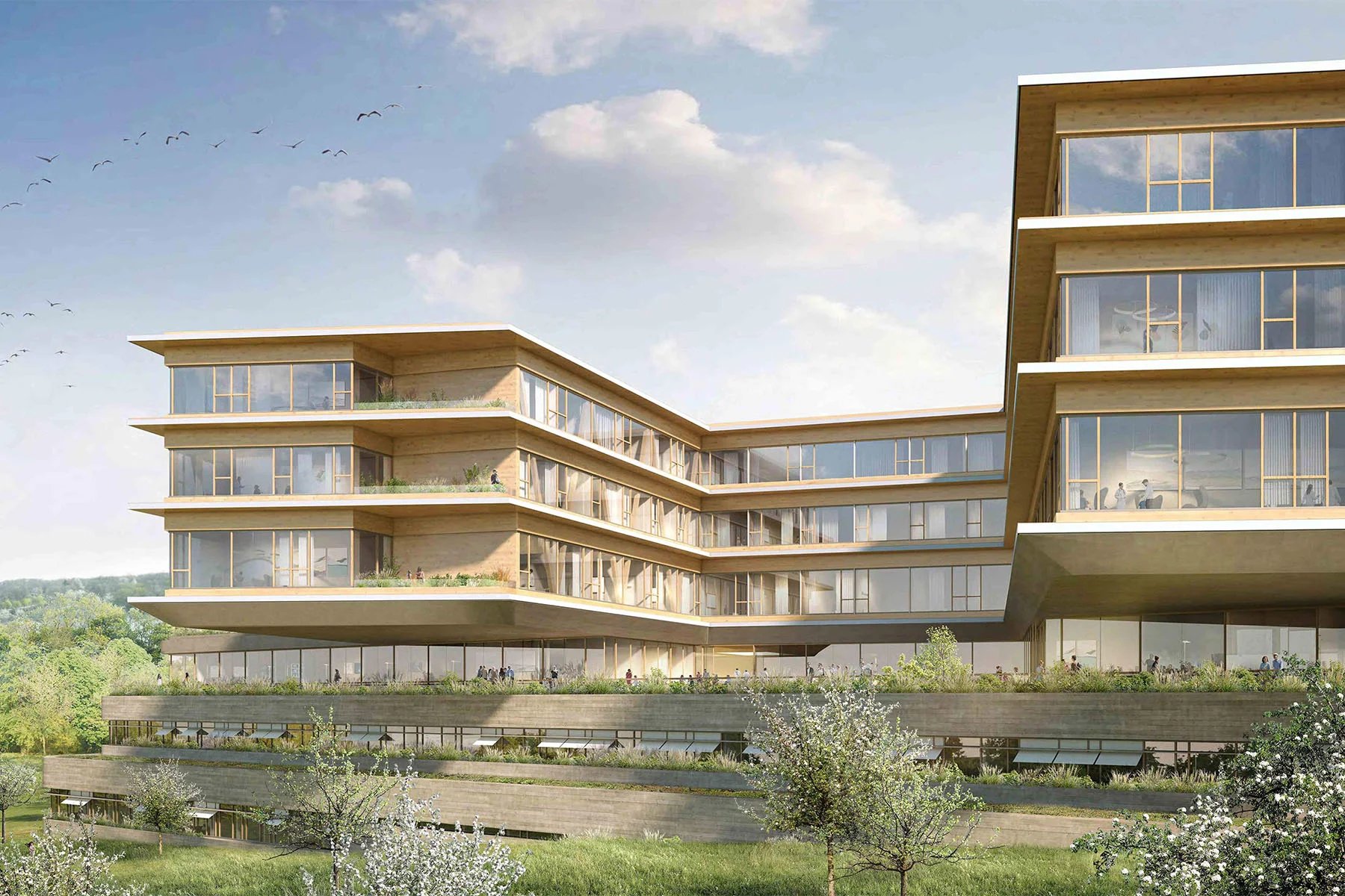 Gelenkbau – Neue Medizinische Klinik
