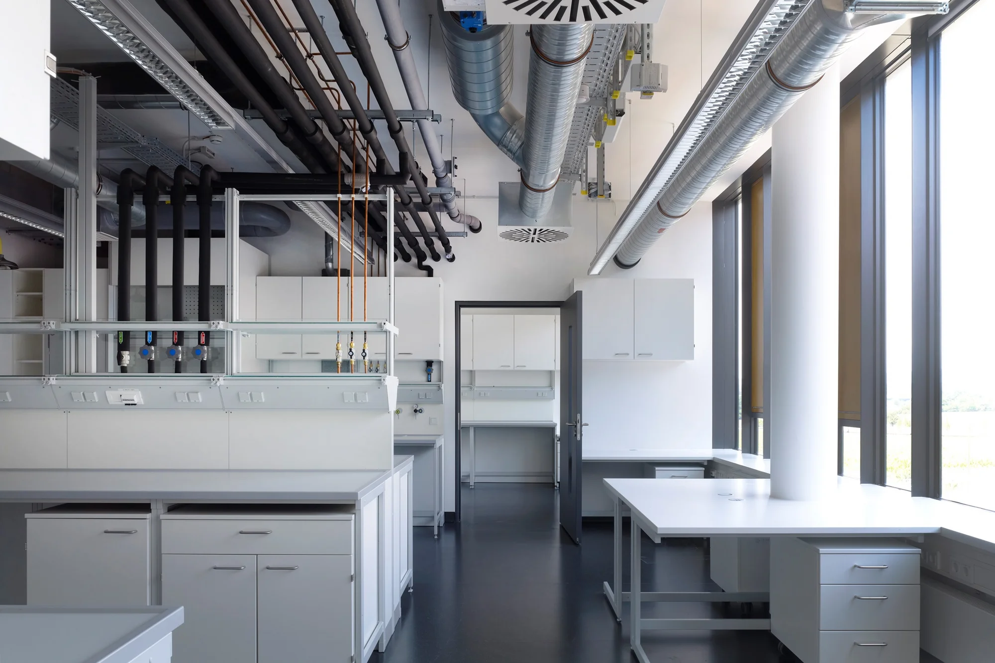 Biologicum of the Goethe University